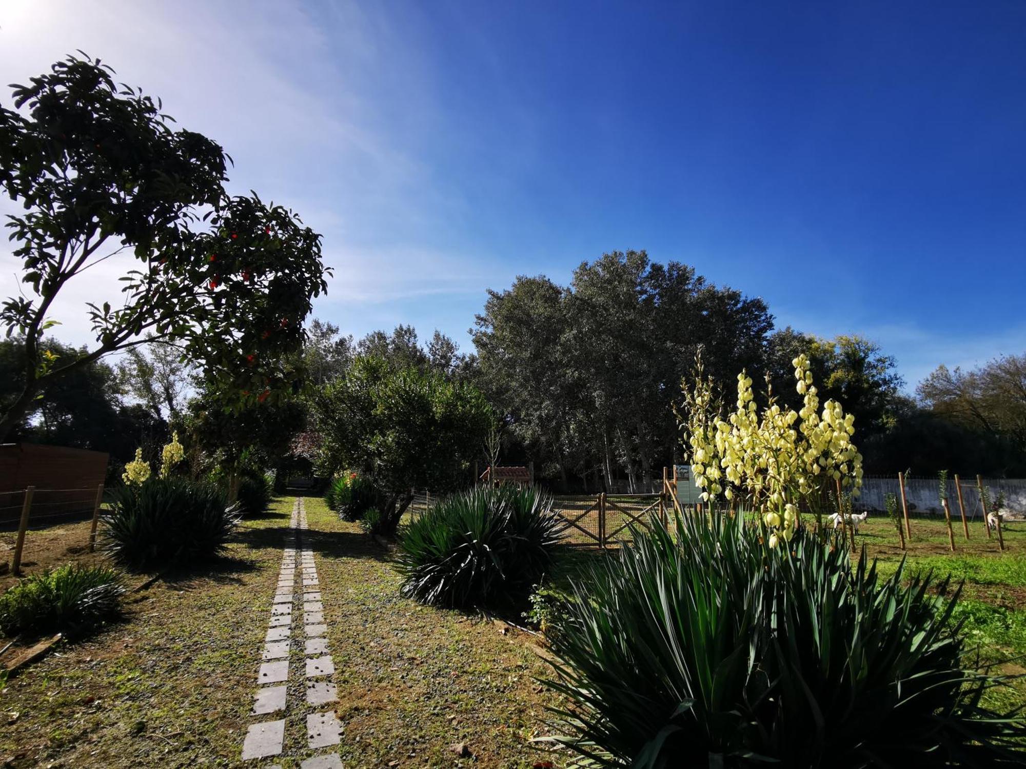 Quinta Do Louredo - Evora Villa Exterior photo